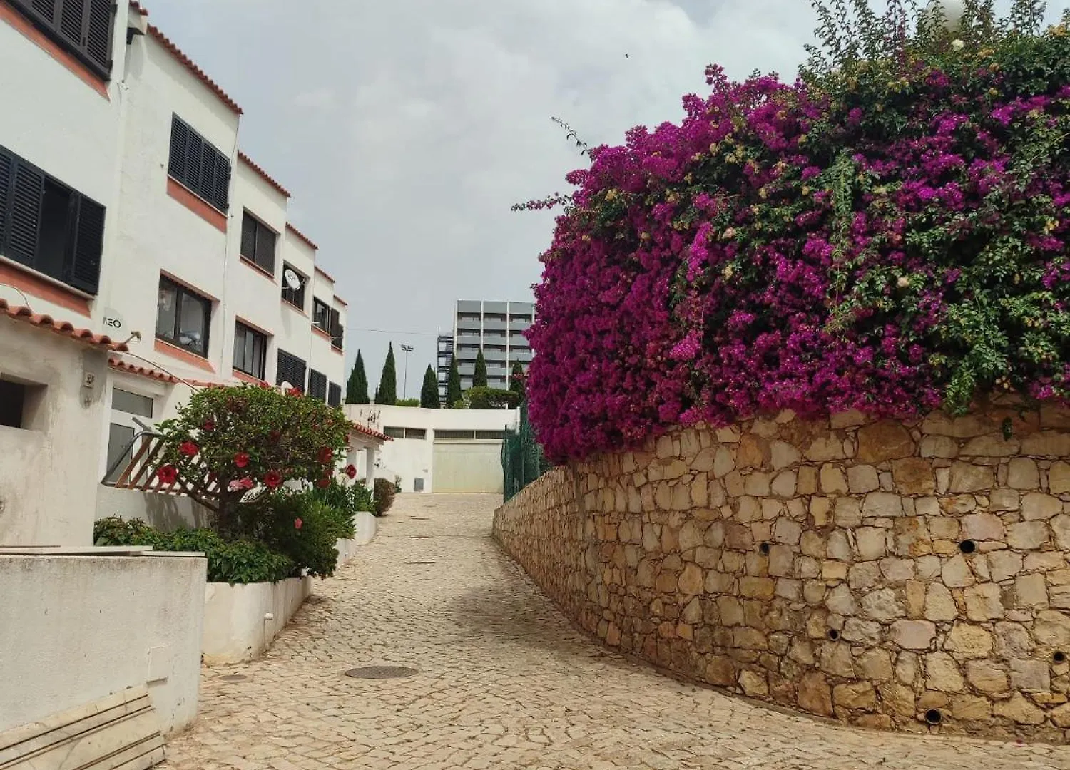 Center Albufeira Monte Choro Flat With Pool Apartment